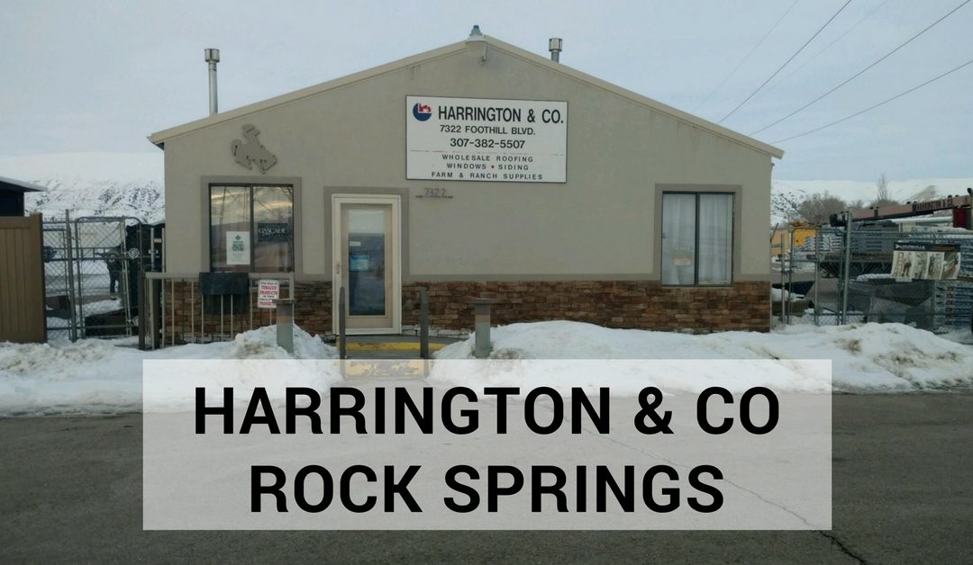 Harrington and Company- Rock Springs