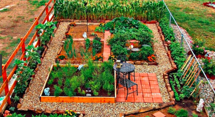 tips for an amazing garden